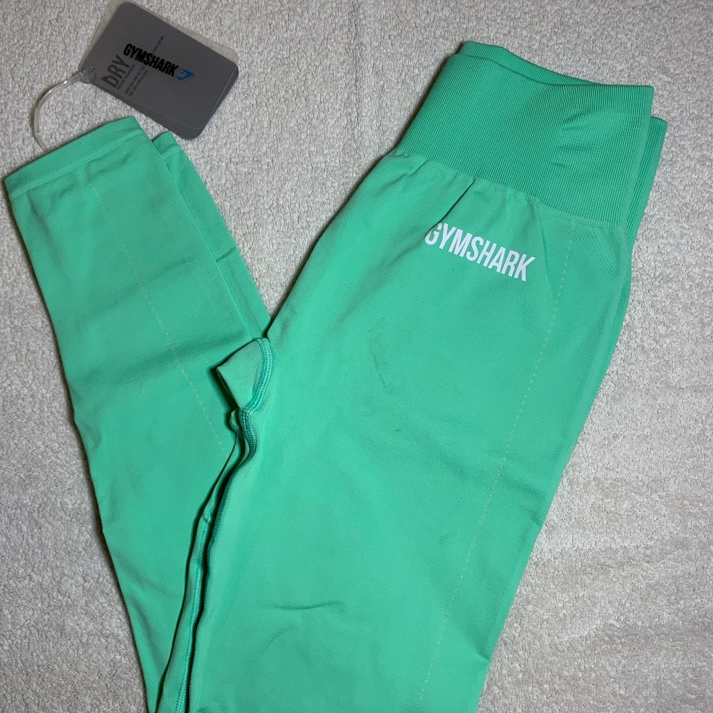 pistachio NWT gymshark leggings